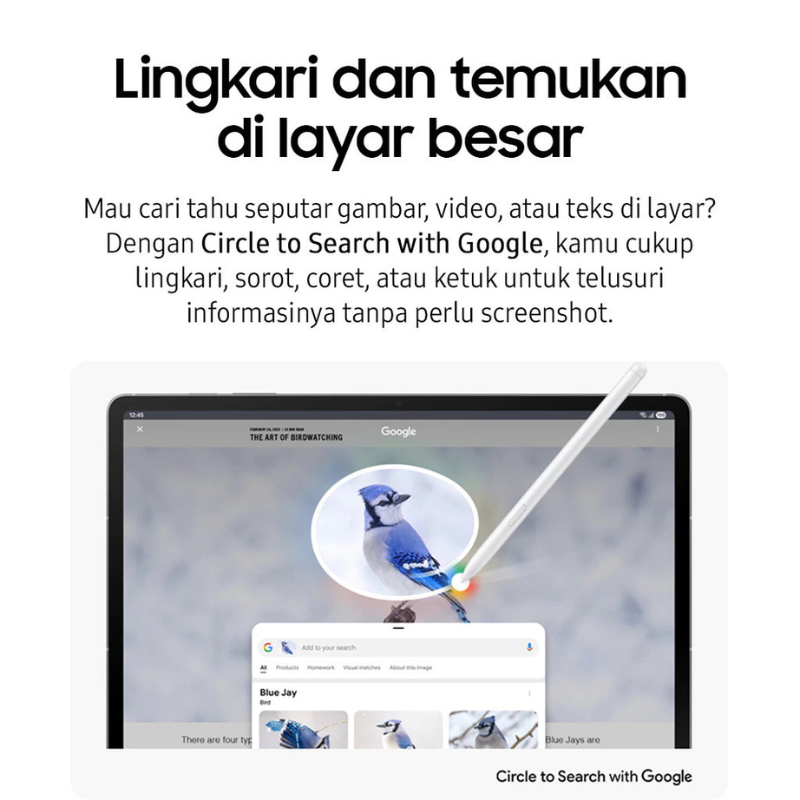 SAMSUNG TAB S10 FE PLUS WIFI